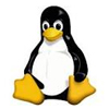 Linux Hosting server 